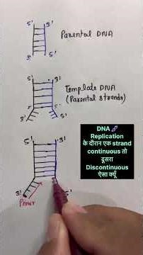 DNA 🧬 REPLICATION CONCEPT 🎯💯🎯 #why #how #dna #replication #shorts #shortsfeed #neet #class12 #yt