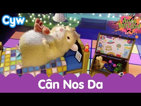 🐹 Cân Nos Da Annibendod 😴 | Bochau the cute Hamster sings about sleepy time Welsh!