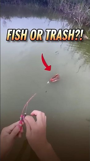 TINY ROD BIG SURPRISE! Micro Fishing Catches Fish And Trash #microfishing #tinyfishing #fishingtr