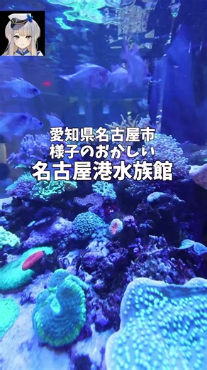 名古屋港水族館のペンギンイベントを楽しもう！