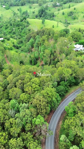 Family Recovery Time This Christmas Season