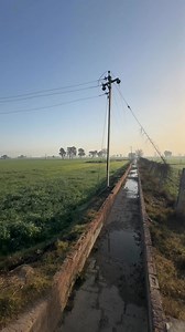 अपनी धरती माता को ज़हर दे रहे है। जो विदेश में नहीं बिकता वो यहाँ खुले आम मिलता है। सच्चाई #farmlife | Dairy Agri Consultant