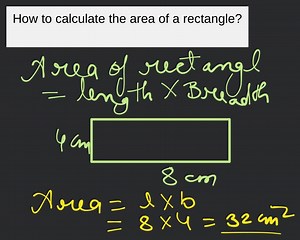 How to calculate the area of a rectangle?... | Filo