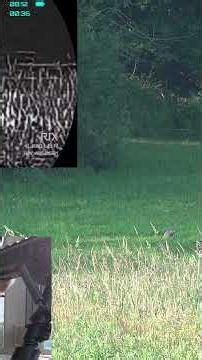 Testing the LEAP L6R Thermal Scope on Woodchucks (EXPLOSIVE RESULTS) #shortvideo #shorts #thermal