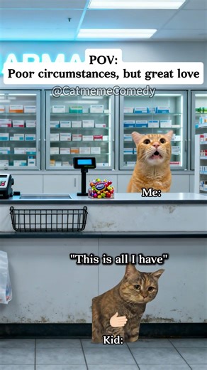 Cat meme Comedy😺Poor circumstances, but great love #cat #shorts #funny cat videos