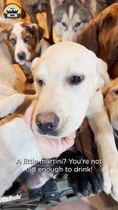 1.4M views · 105K reactions | Welcome to Cafe Lee! Can I take your order ☕ | The Asher House | Facebook