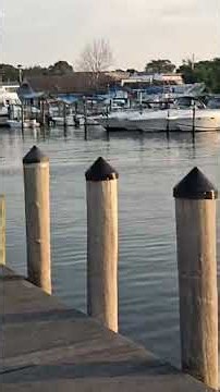 Long Island's Hidden Gem 2 (Patchogue, NY)