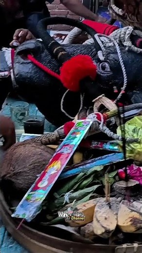 #bantengan #lagubantenganfullalbum #bantenganmalang #bantengannuswantarabatu #bantengannuswantoro