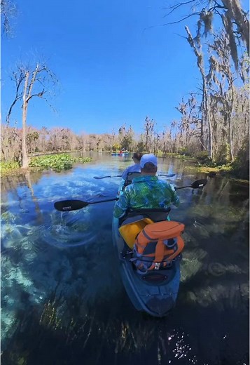 Silver Springs State Park in Ocala, Florida. 💙 #florida #ocala #floridalife #paddling #floridastateparks #floridaliving