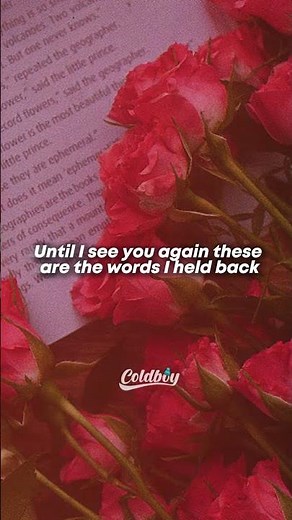 Taylor Swift - Enchanted (Taylor's Version) (Lyrics)