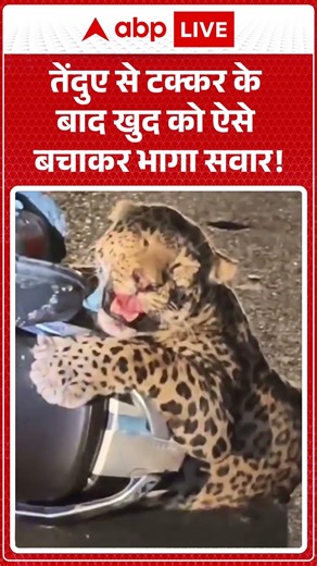 Viral News : तेंदुए से टक्कर के बाद खुद को ऐसे बचाकर भागा सवार! | #SurvivalInstinct #ViralVideo