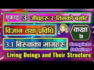 3.1 class 7 science chapter 3 | Living Beings and Their Structure Class 7 | 3.1 Parts of a plant |