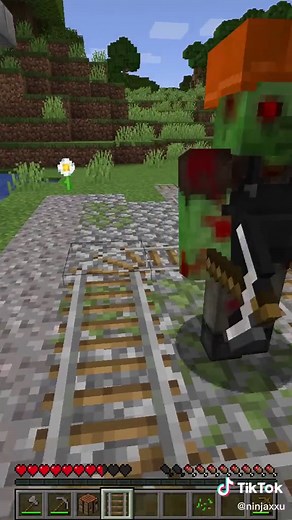 Glitch incroyable de Ninjaxx sur Minecraft