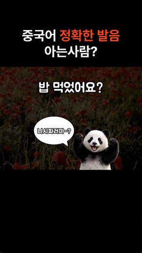 왕초보도 따라할 수 있는 중국어 기본표현 #중국어회화 #쉬운중국어 #shorts