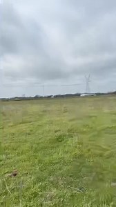 7.6K views · 288 reactions | Feeding the broodies 殺 #horsebreeding #horses #foals | Fallon Taylor | Facebook