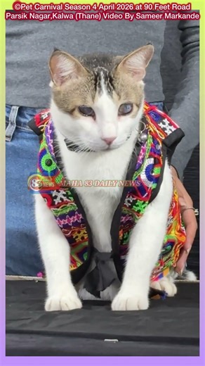 #petcarnival #petlover #shorts #ytshorts #youtubeshorts #instagram