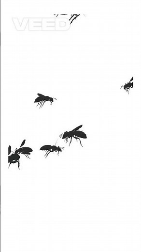 Lamarck vs Darwin – Evolution Showdown!