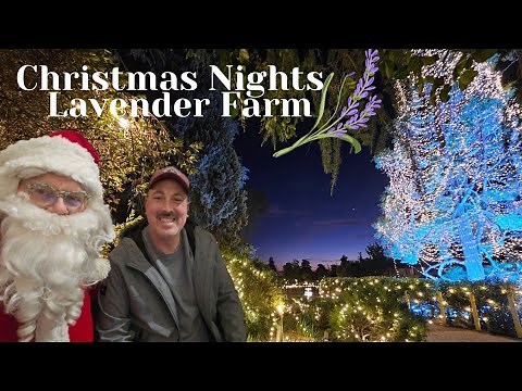 Christmas Nights | 123 Farm | Lavender Farm | Holiday Event 2024