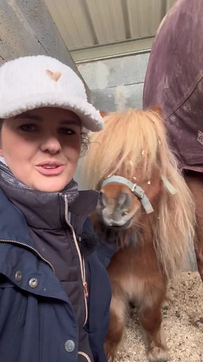 Voilà la liste de ce qu’il ne faut surtout pas acheter si ton enfant vient juste de commencer l’équitation ! Pour les plus expérimentés, vous avez des choses à ajouter ? #cheval #chevaux #equitation | Yes Captain