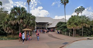 Bear is fatally shot after escaping an exhibit and attacking a Florida zookeeper