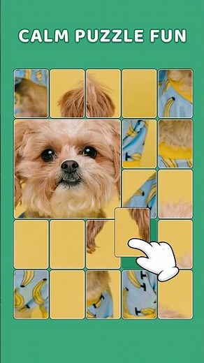 Jigzun Jigsaw Puzzle