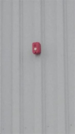 System Sensor L Series P2GRKLED Weatherproof Horn Strobe