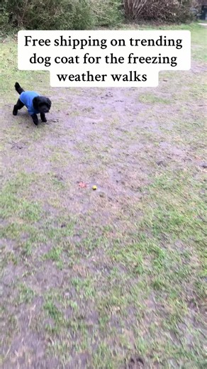 Stay Warm: Free Shipping on Cozy Dog Fleece Coats