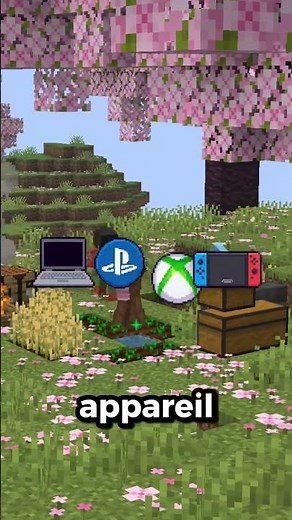 It's impossible to visit this country in Minecraft!