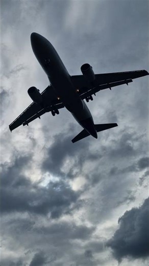 Crosswind Landing✈️Lufthansa Airbus A319 landet auf Runway 07L | Frankfurt Airport #aviation #a319