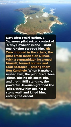 After Pearl Harbor, One Pilot Terrorized A Hawaiian Island #short #history #ww2