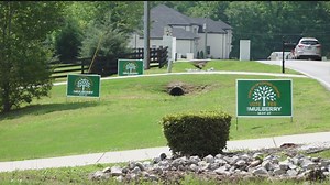 What comes next after voters in Gwinnett County approve new City of Mulberry
