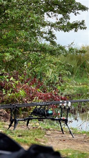 🎣 Firefly Bite Alarm Bivvy Light Always Know When a Fish Bites 🔔 Bite Alert Sync – Flashes with BiteKeeper Pro 🎣 📱 App-controlled – Adjust brightness, color, volume, tone, sensitivity 🌙 Night Ready – Dual brightness and long battery 💧 Waterproof – Works in all weather Stay in your bivvy and never miss a bite. . . #fishing #carpfishing #carpfishinguk #bitealarm #angler #bivvylight | Rippton Smart Fishing Tackle