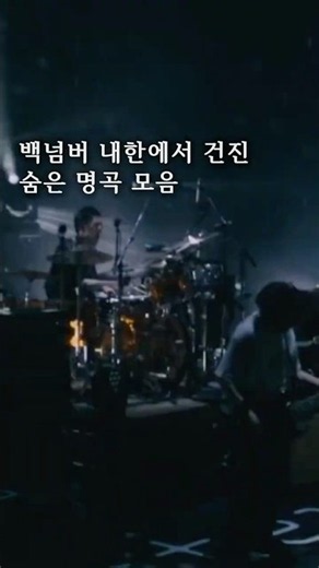 백넘버 내한에서 건진 숨은 명곡 모음