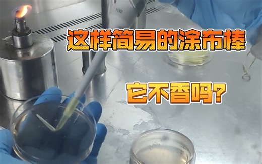 还到处找涂布棒呢？D哥教你直接用枪头涂布！！