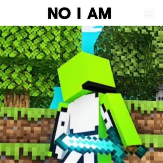 I am #sort #minecraft