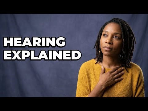 How Are Sound Vibrations Sent To Your Brain?