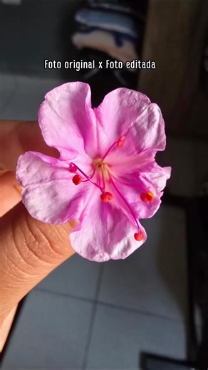 Ficou incrível 📸🖤 Usei o App LightRomm #fyp #ediçao #fyp #s24ultra #fotografia