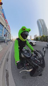 15K views · 647 reactions | Sharkie & Frog vibing through city...