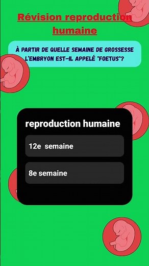 reproduction humaine #akademix #science #biologie #lycée