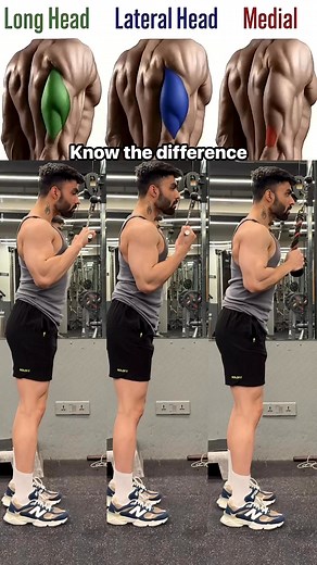 126K views · 1.1K reactions | Know the variations and it's target tricep muscle. #tricepworkout #viralreels #reelsfyp #trendingreel #reels #fblifestyle #fitness #workout #fitnesstips #triceps | Sidfitfacts | Facebook