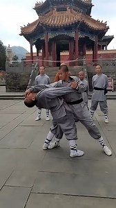 Shaolin Kung Fu: https://t.co/YfZr1FgcwX 你学会了吗 #快手炫武季 #女子防身术 #擒拿_嵩山少林刘建社 | Martial Art