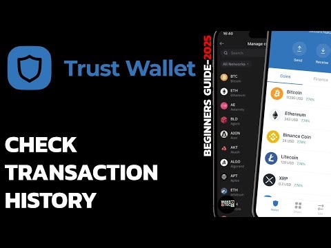 How to Check Transaction History on Trust Wallet | View Past Crypto Transfers