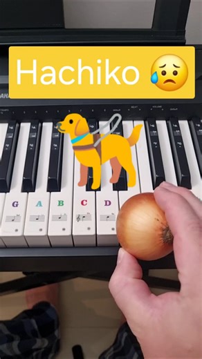 How to play Hachiko