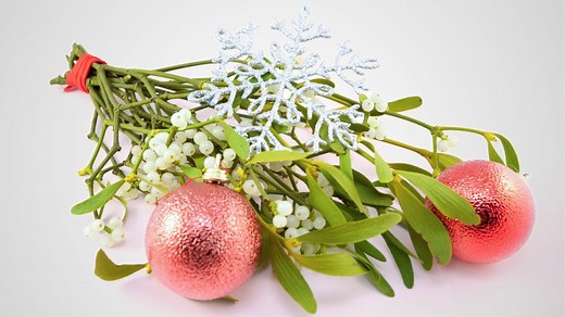 10 Things You May Not Know About Mistletoe