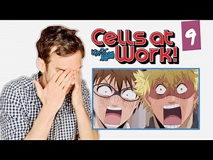 DOCTOR reacts to CELLS AT WORK! // Episode 9 // "Thymocytes"