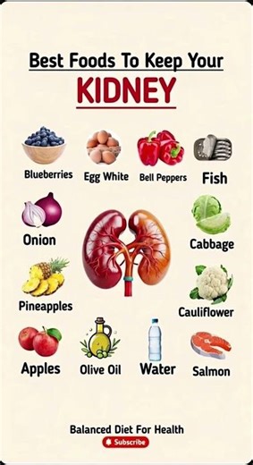 10 Best Foods for Kidney Health: Keep Your Kidneys Healthy Naturally in 2025