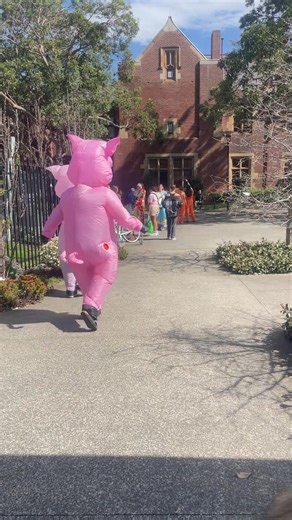 sumdog (@slamduncannn)’s videos with original sound - sumdog