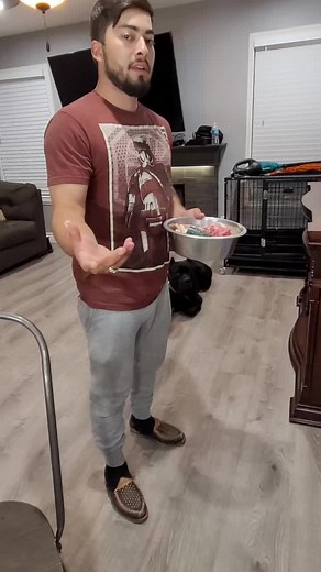 Dealing with Food Aggression in Canine: Tips and Techniques