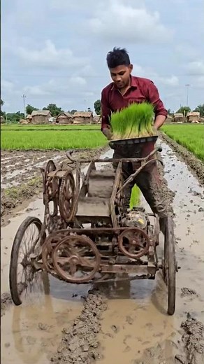 Amazing Desi Jugaad Paddy Transplanting Machine | Low Cost Rice Planting Innovation in Village