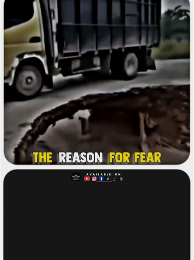 Motivational Status to Inspire Your Day